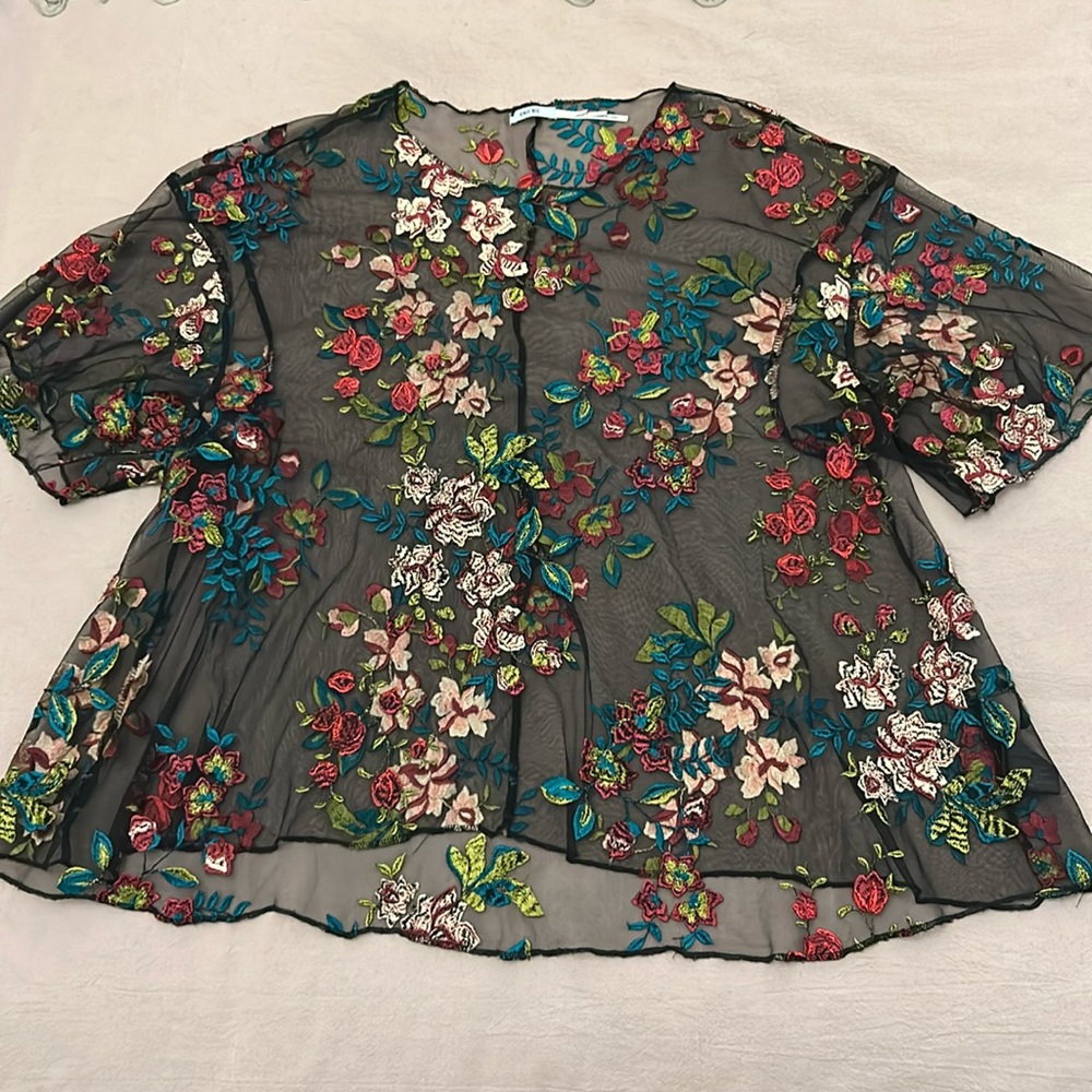 Sheer flower embroidery top